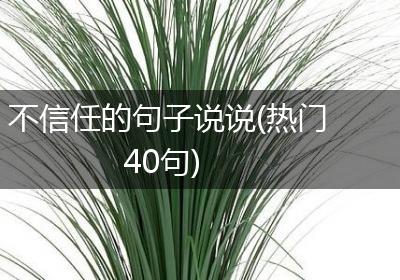 不信任的句子说说(热门40句)