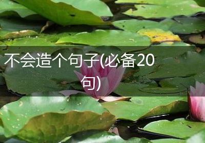 不会造个句子(必备20句)
