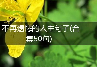 不再遗憾的人生句子(合集50句)