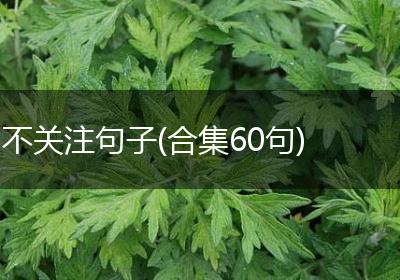 不关注句子(合集60句)
