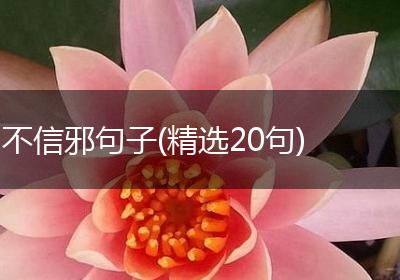 不信邪句子(精选20句)