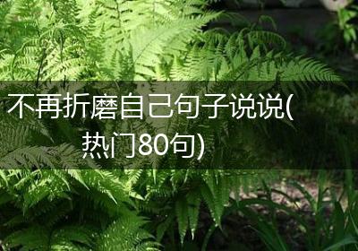 不再折磨自己句子说说(热门80句)