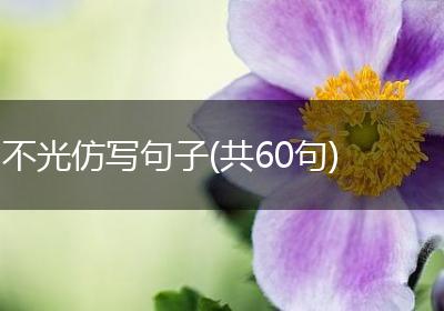不光仿写句子(共60句)