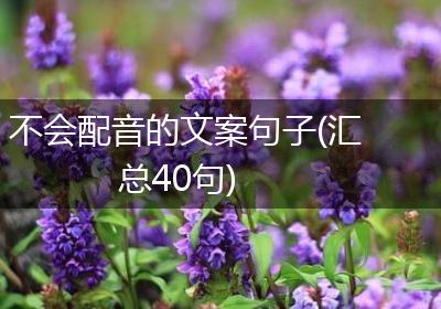 不会配音的文案句子(汇总40句)
