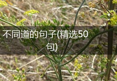 不同道的句子(精选50句)