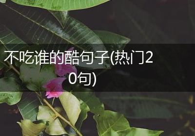 不吃谁的酷句子(热门20句)