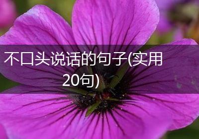 不口头说话的句子(实用20句)
