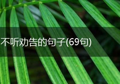 不听劝告的句子(69句)