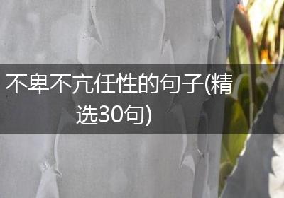 不卑不亢任性的句子(精选30句)