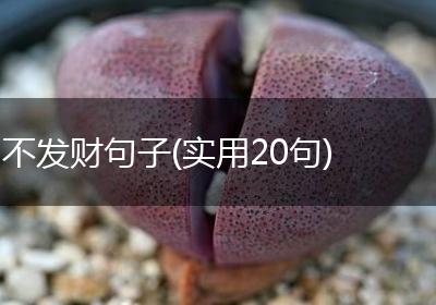 不发财句子(实用20句)