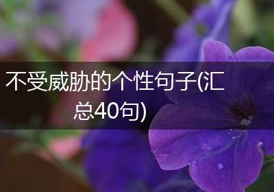 不受威胁的个性句子(汇总40句)