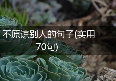 不原谅别人的句子(实用70句)