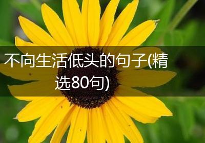 不向生活低头的句子(精选80句)