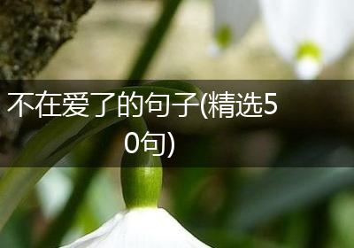 不在爱了的句子(精选50句)