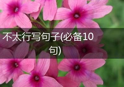 不太行写句子(必备10句)