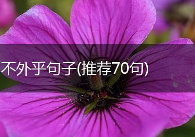 不外乎句子(推荐70句)