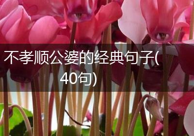 不孝顺公婆的经典句子(40句)