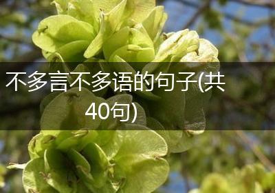 不多言不多语的句子(共40句)