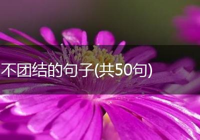 不团结的句子(共50句)