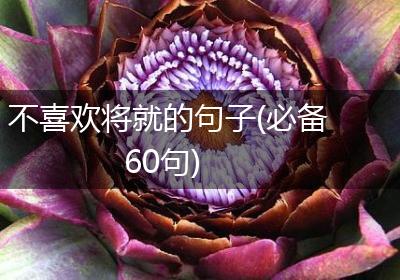 不喜欢将就的句子(必备60句)