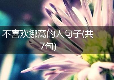 不喜欢挪窝的人句子(共7句)