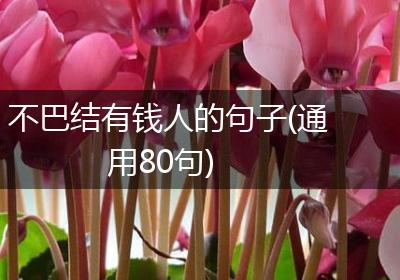 不巴结有钱人的句子(通用80句)