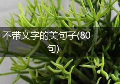 不带文字的美句子(80句)