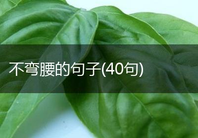 不弯腰的句子(40句)