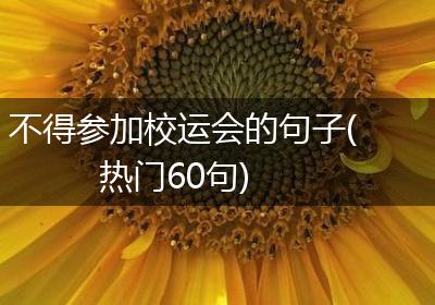 不得参加校运会的句子(热门60句)
