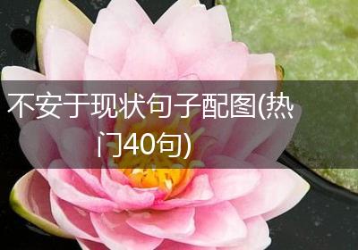 不安于现状句子配图(热门40句)