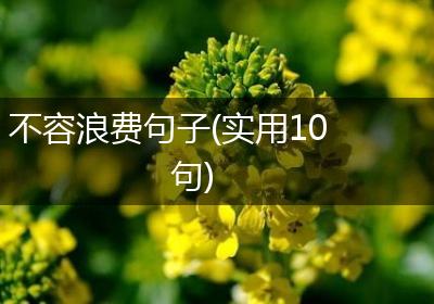 不容浪费句子(实用10句)