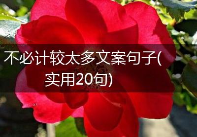 不必计较太多文案句子(实用20句)