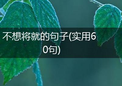不想将就的句子(实用60句)