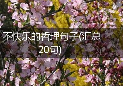 不快乐的哲理句子(汇总20句)