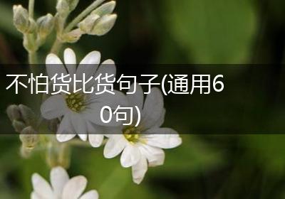 不怕货比货句子(通用60句)