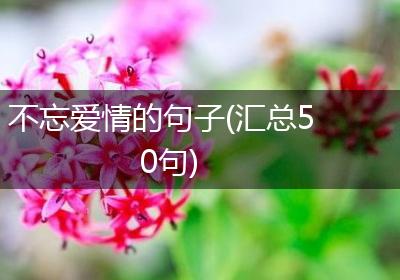 不忘爱情的句子(汇总50句)