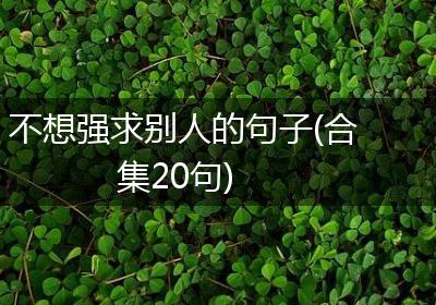 不想强求别人的句子(合集20句)