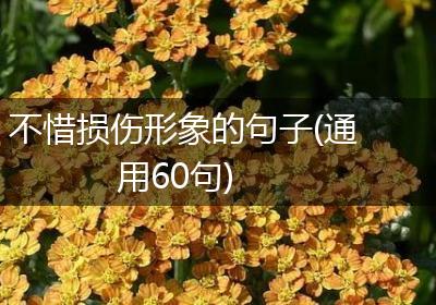 不惜损伤形象的句子(通用60句)