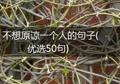 不想原谅一个人的句子(优选50句)