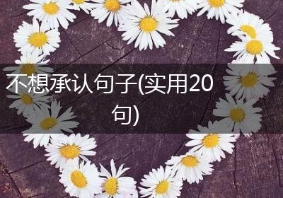 不想承认句子(实用20句)