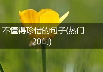 不懂得珍惜的句子(热门20句)
