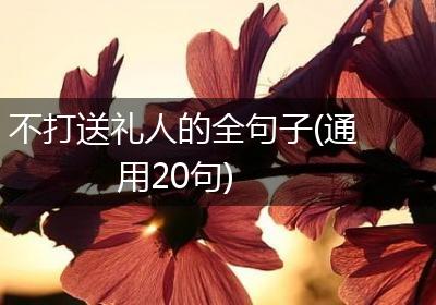 不打送礼人的全句子(通用20句)