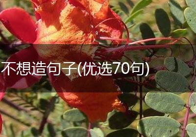 不想造句子(优选70句)