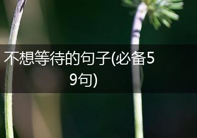 不想等待的句子(必备59句)
