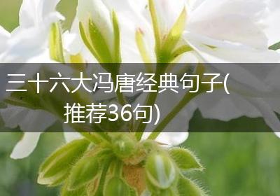 三十六大冯唐经典句子(推荐36句)