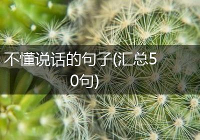 不懂说话的句子(汇总50句)