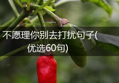 不愿理你别去打扰句子(优选60句)
