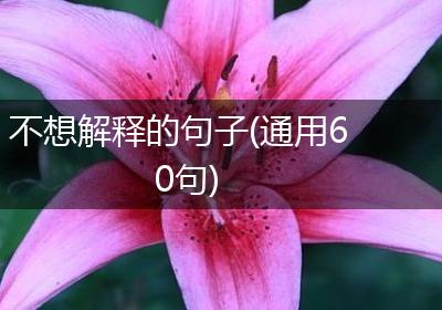 不想解释的句子(通用60句)