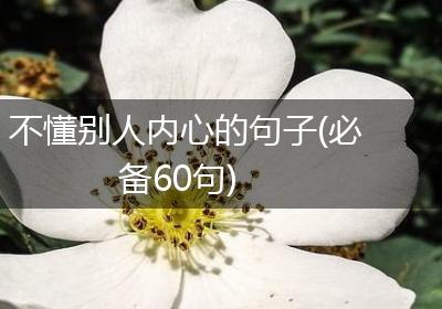 不懂别人内心的句子(必备60句)