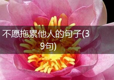 不愿拖累他人的句子(39句)